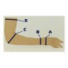 Рукав компрессионный кругловязаный РККВ "ЦК" вид 5 - рукав удлиненный с перчаткой, с фиксирующей застежкой, размер № 1