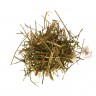 Дербенник (трава, лист, 100 гр.) Старослав