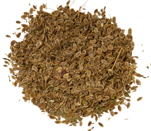 Укропа семена (семена, 100 гр.) Старослав